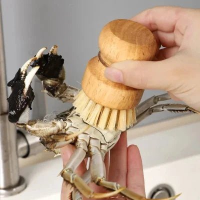 Brosse à vaisselle - WoodClean™ - Sisal - Astuces cuisine santé